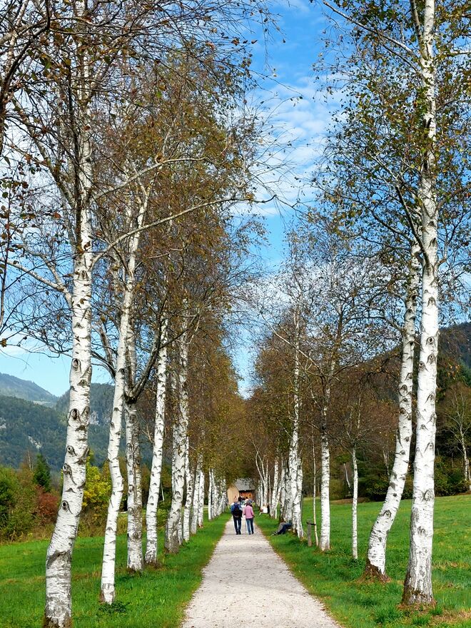 Sonntagsspaziergang