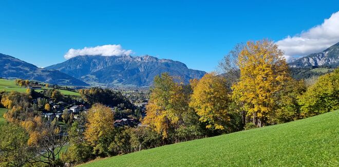 Birnhorn mit "Häubchen "