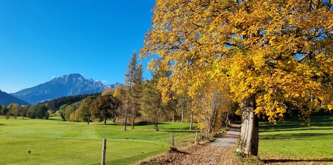 Am Golfplatz
