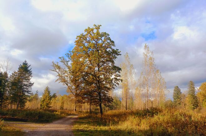 Ein Auenblick