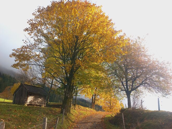 Der Herbst.....