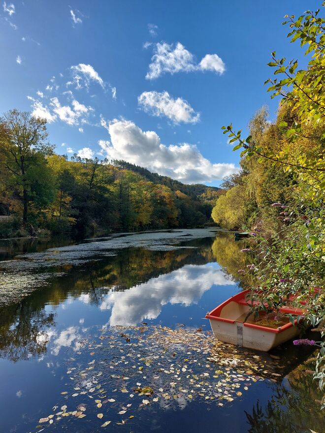 Herbst am Kamp