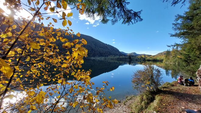 Der Herbst malt in den schönsten Farben.