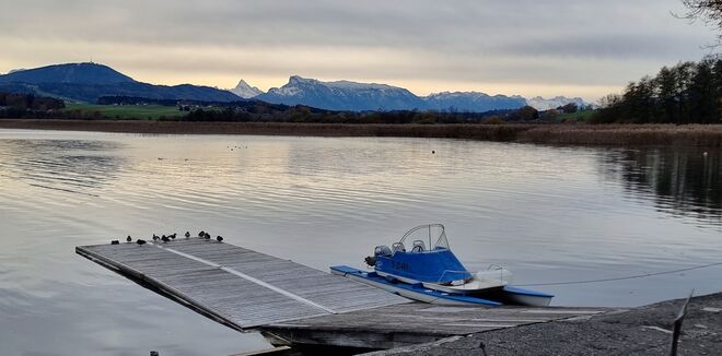 Am Wallersee