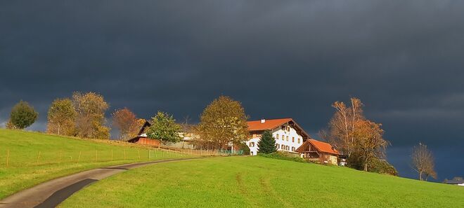 Novemberstimmung