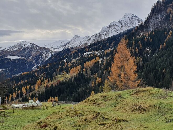 Winter gegen Herbst
