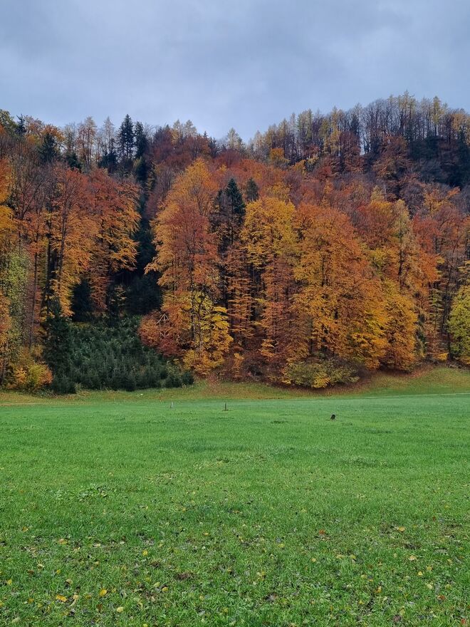 Herbstfarben "de luxe"