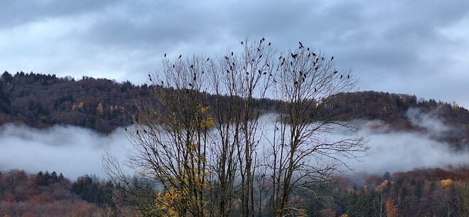 Novemberstimmung