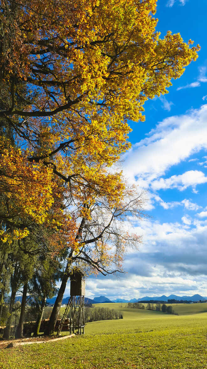 Natur im Herbst genießen