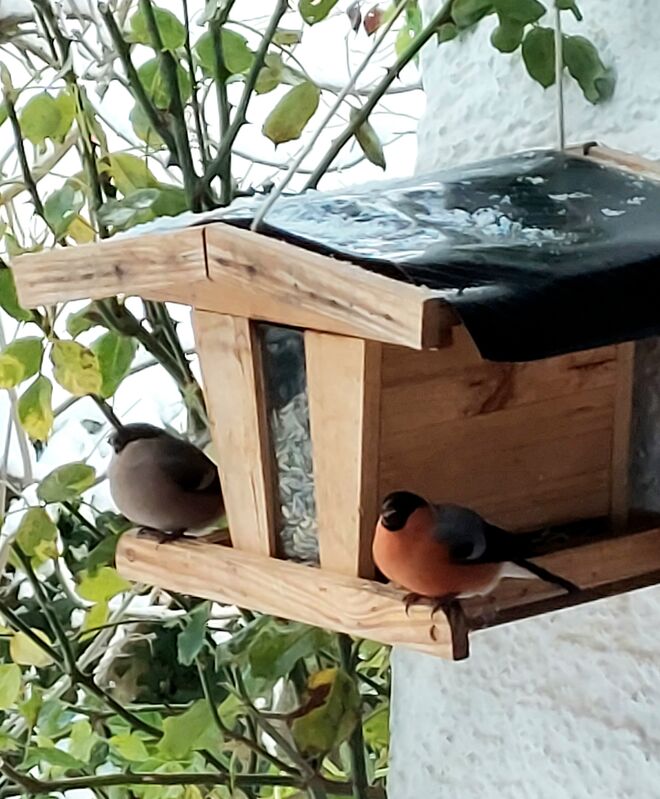Der Winter kann kommen!