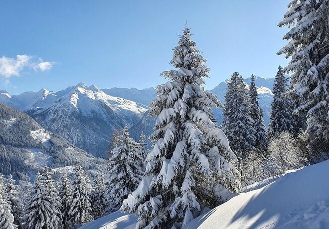 Wintertraum