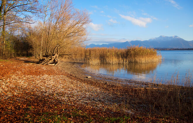 Goldener Herbst am Chiemsee