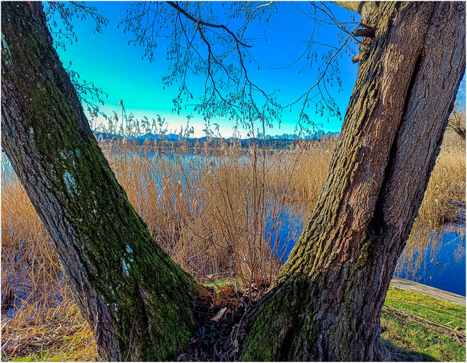 Impressionen am Mattsee
