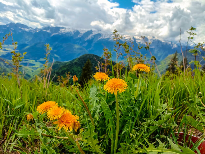 Blick vom Berg ins Tal