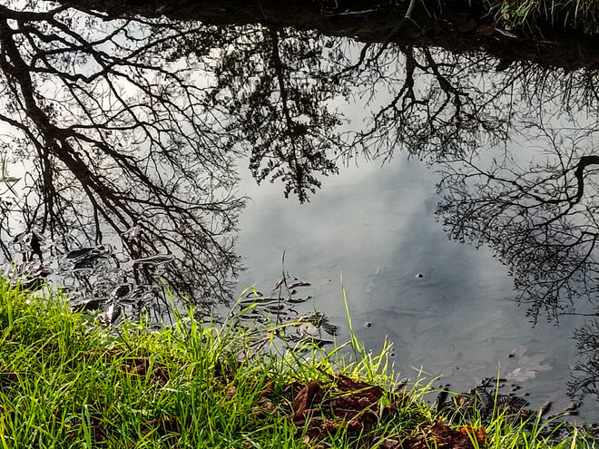 Spieglein, Spieglein ......