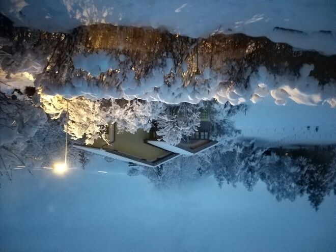 Früher Wintermorgen