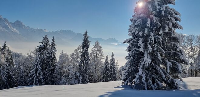 Ein wundervoller Morgen