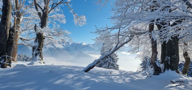 Winterzauber