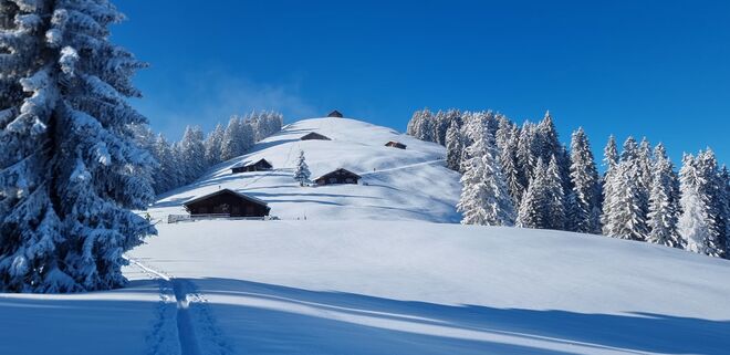Winterwonderland