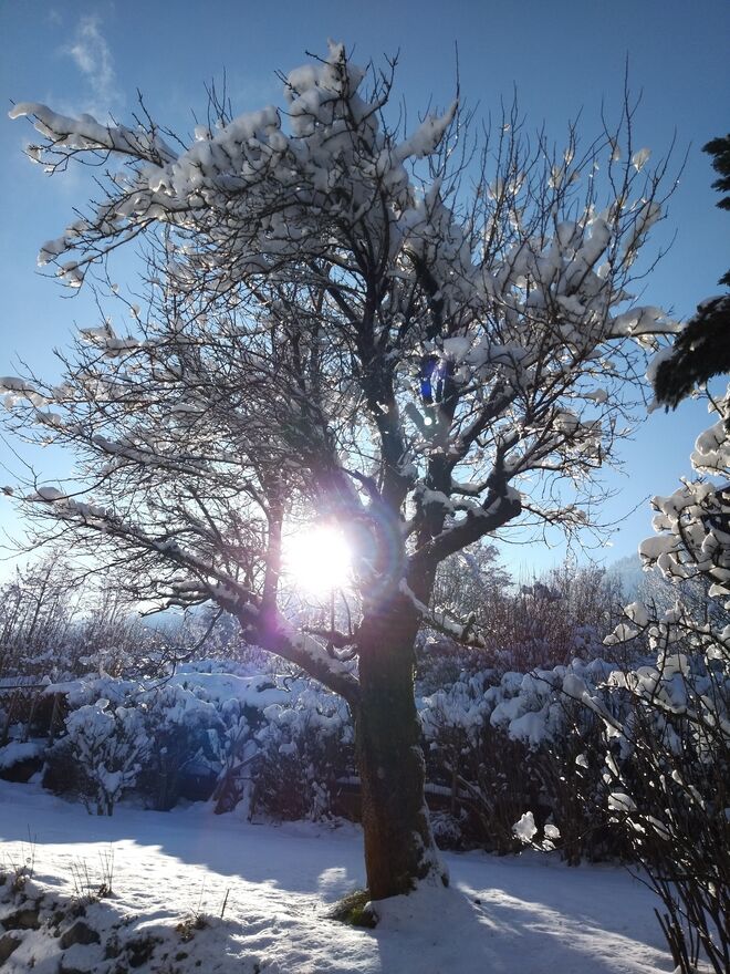 Wintertraumtag