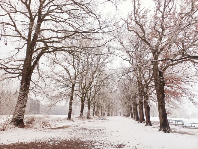 Ein Winter wie damals.....