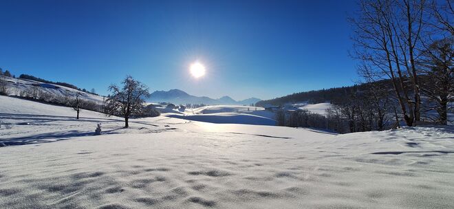 Winterlandschaft