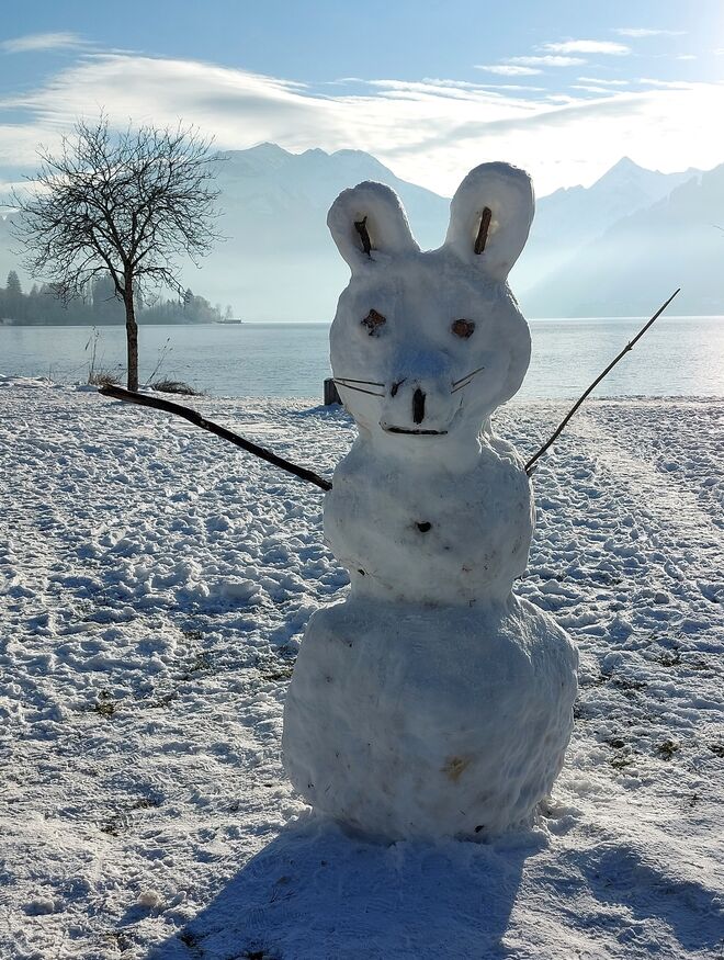 Schneemann geht im Fasching als Bär