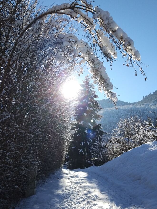 Mittagsspaziergang