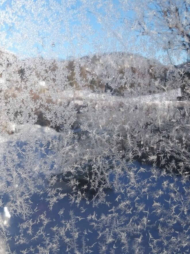 Eisfedern am Fenster