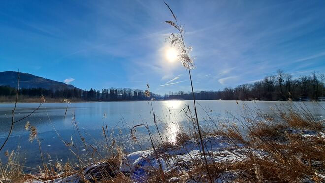 Ein seltener Anblick