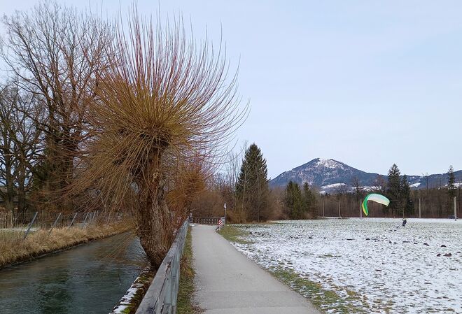 Am Almkanal