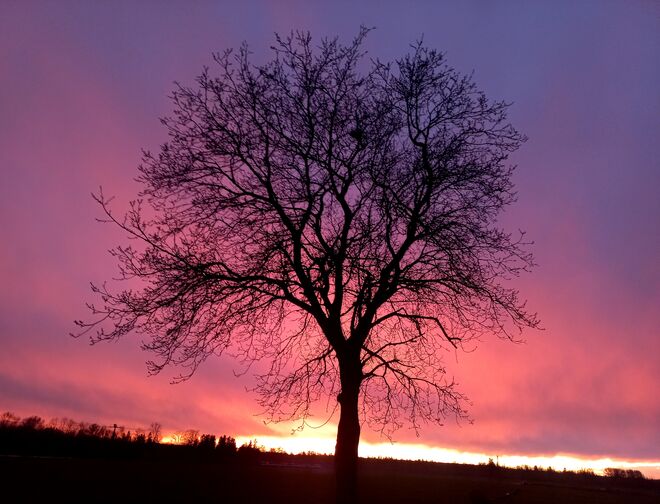 Abendrot