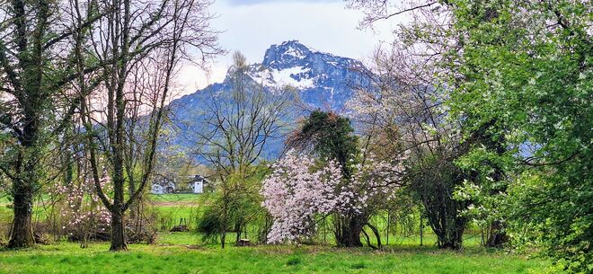 Der Untersberg im Frühling....