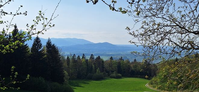 Blick ins Tal