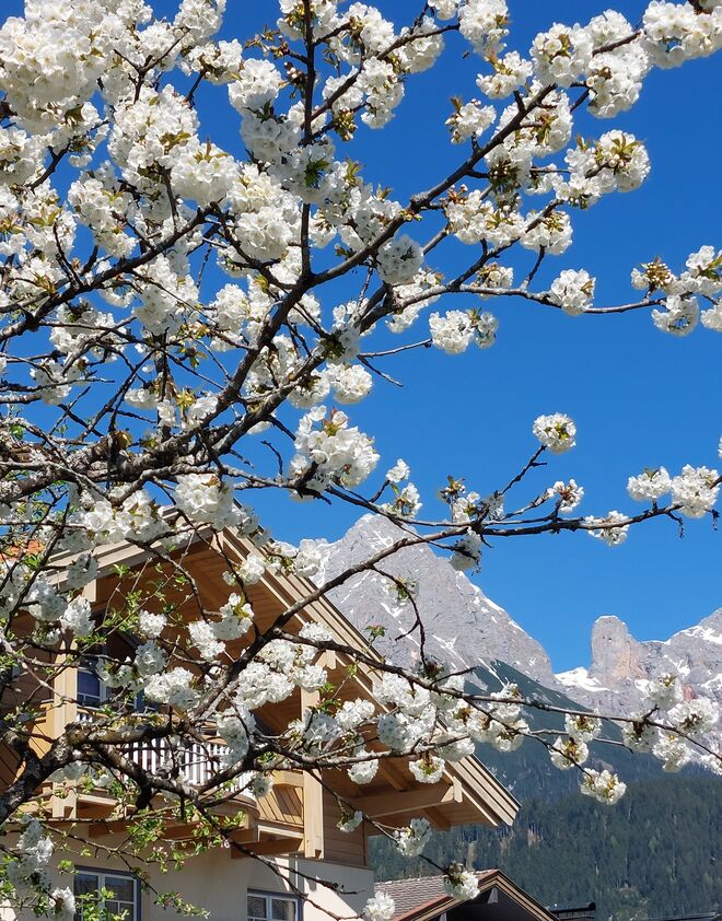 April von seiner schönsten Seite!