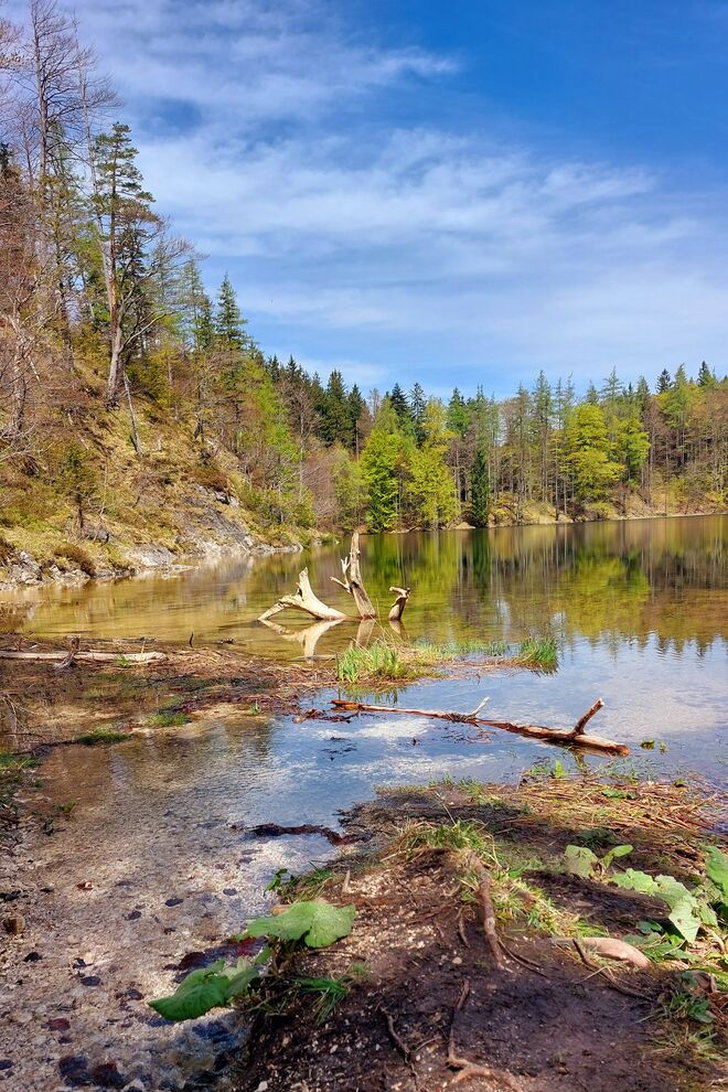 Der Eibensee