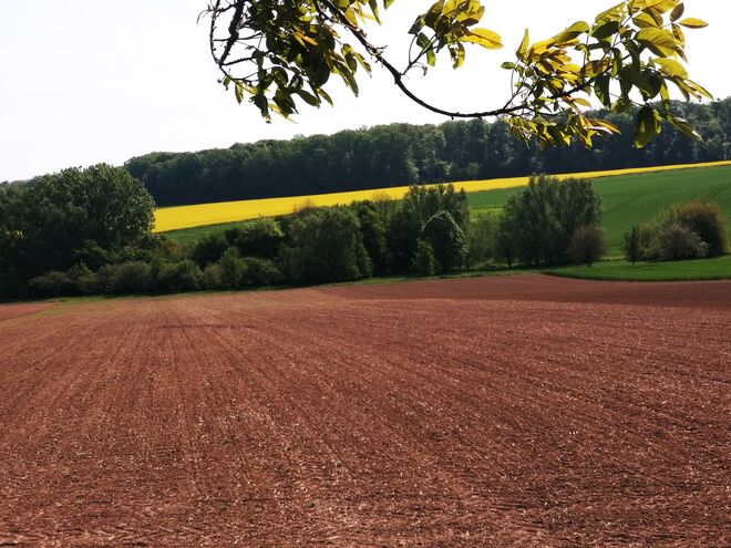 Grundfarben einer Landschaft