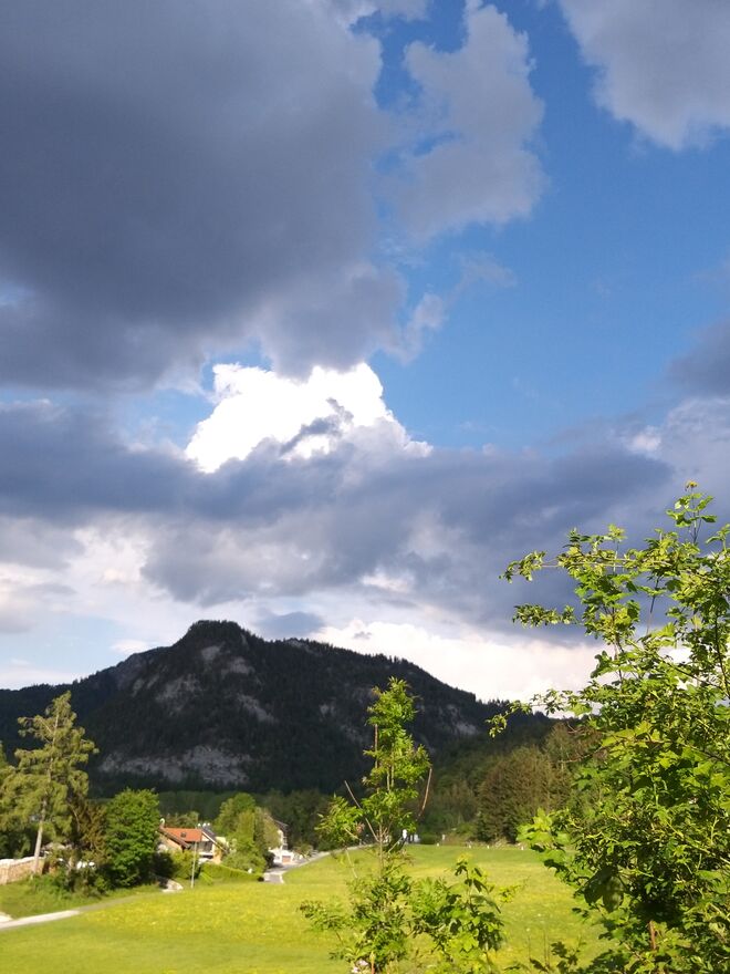 Donnerwetter....