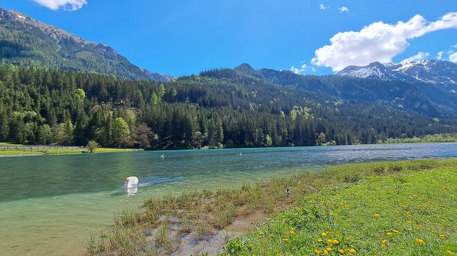Blick über den Jägersee