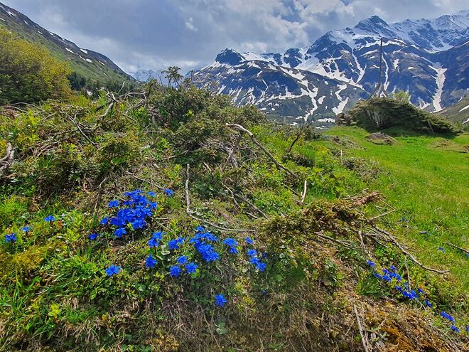 Frühling in Sportgastein