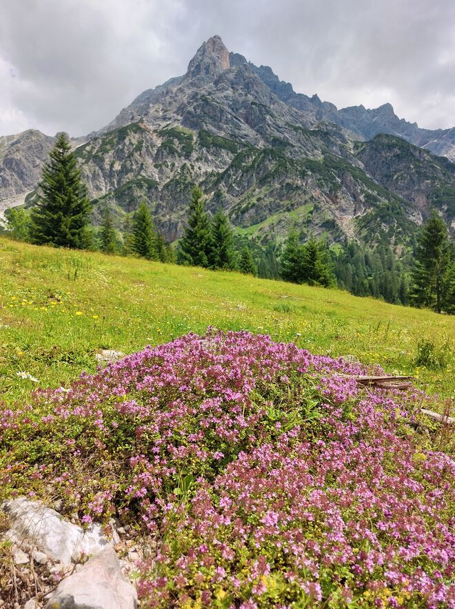Bergsommer