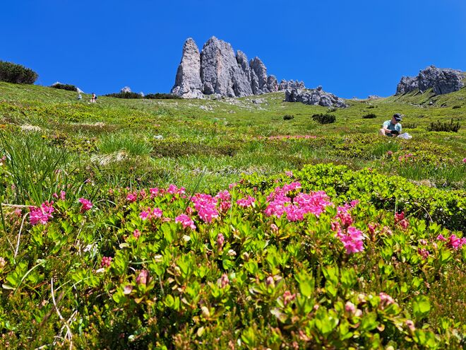 Grandlspitz im Hochköniggebiet
