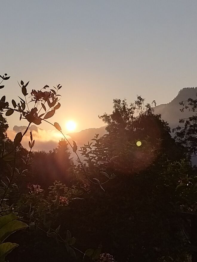 Guten Morgen