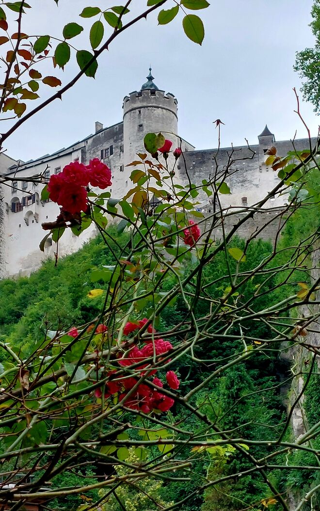 Die Prinzessin schläft im Turm - eine Chance für alle Prinzen!