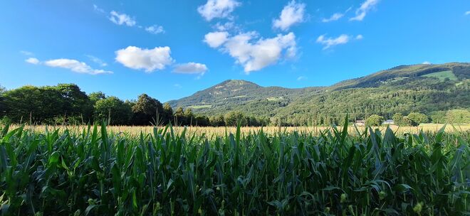 Ein Spaziergang in der Regenpause...