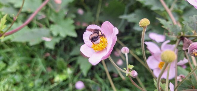 Der Herbst schickt erste Grüße....