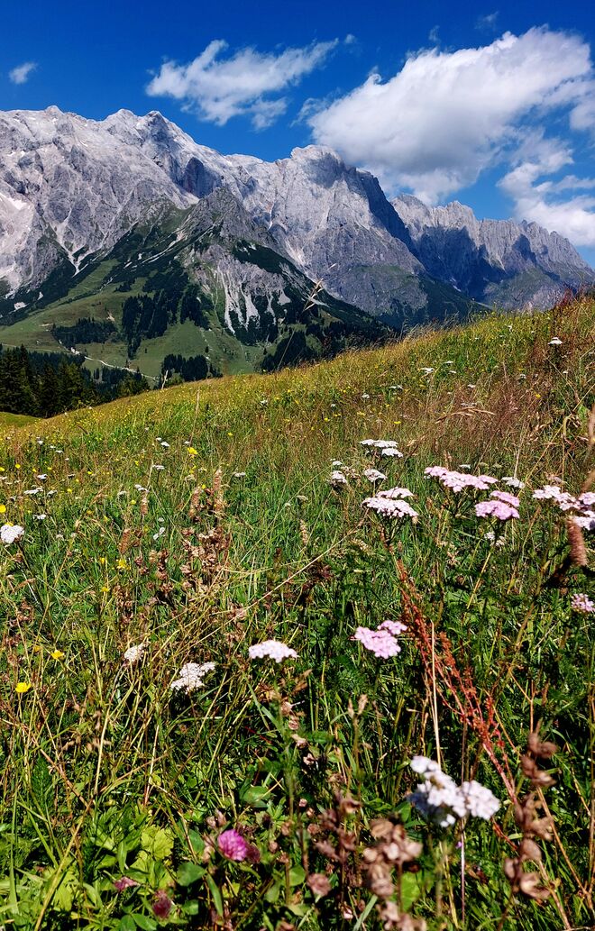 Ein Sommertag im Innergebirg