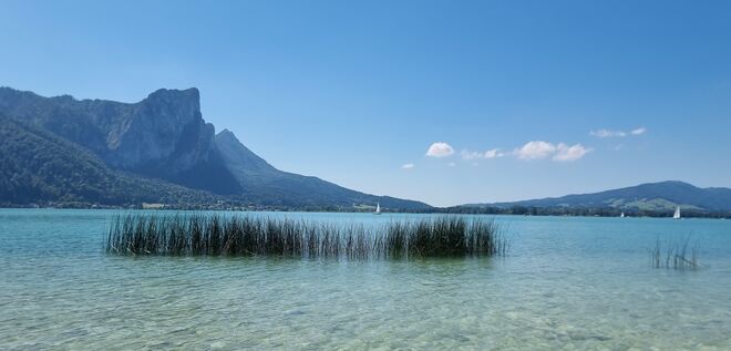 Drachenwand