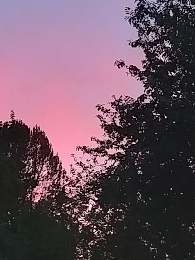 Gewitter aus rosa Wolken...