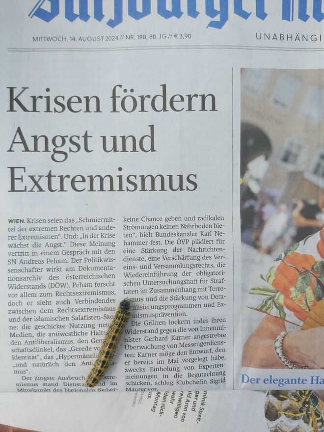 Ungewöhnlicher Leser